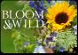 Bloom & Wild